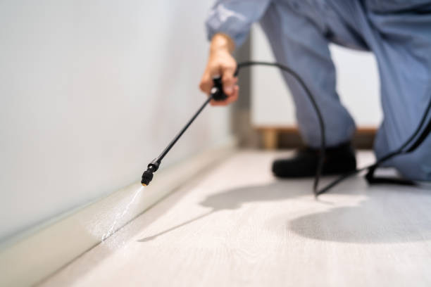 Licensed Termite Control service in Chaska, MN - Nex Pest Control