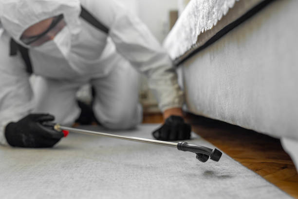 Professional Termite Control technician working in Chaska, MN