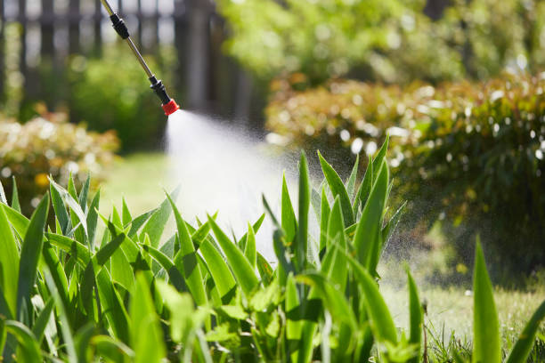 24/7 Emergency Termite Control experts in Chaska, MN