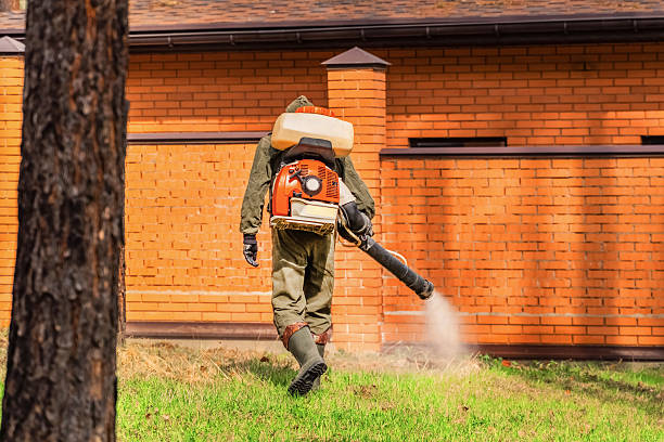 Top rated local Termite Control specialists in Chaska, MN